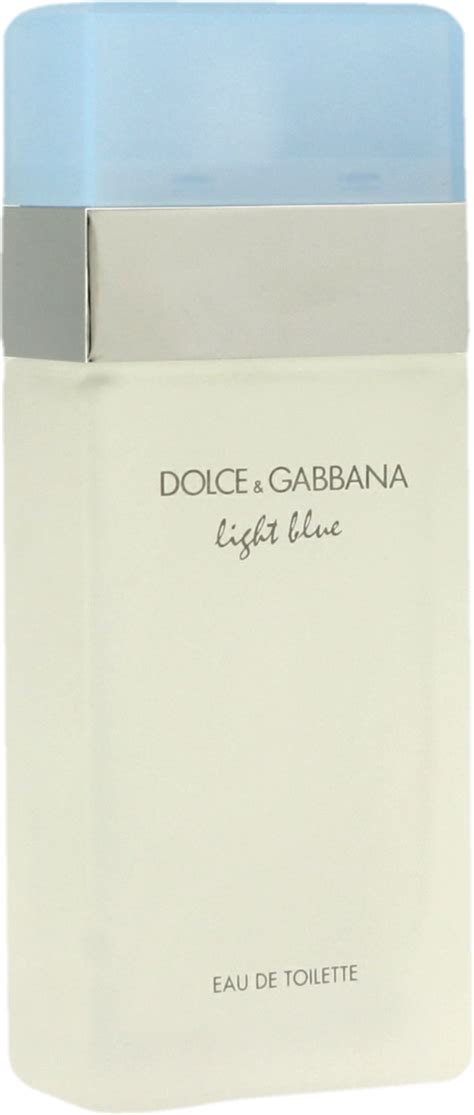 rossmann dolce gabbana|light blue dolce & gabbana.